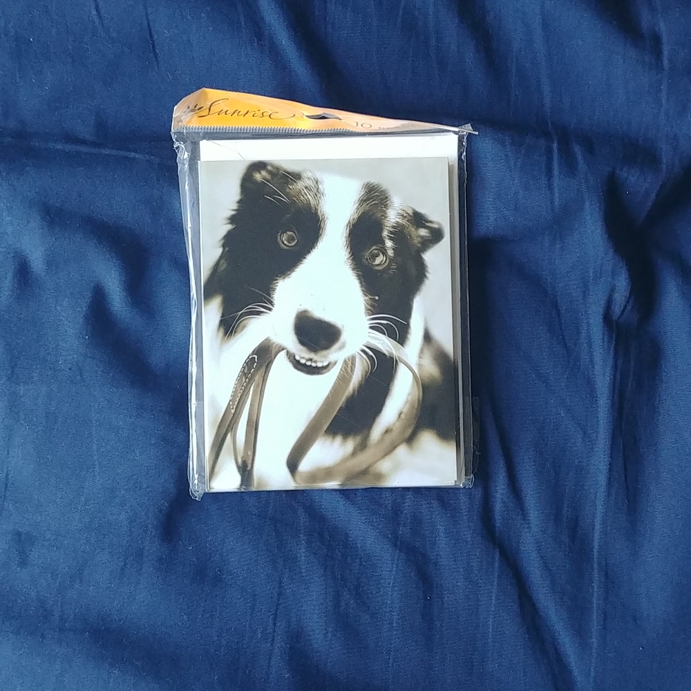 Border collie note cards